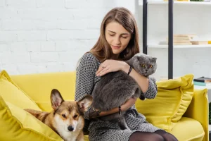 owner and pets in the living room